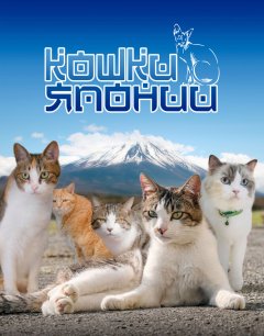  Кошки Японии 