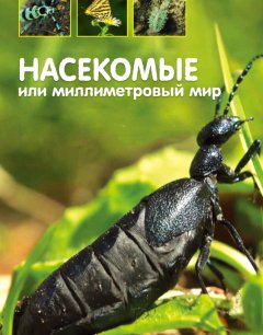  Насекомые, или Миллиметровый мир 