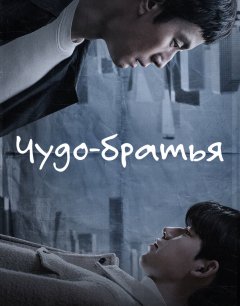  Чудо-братья 